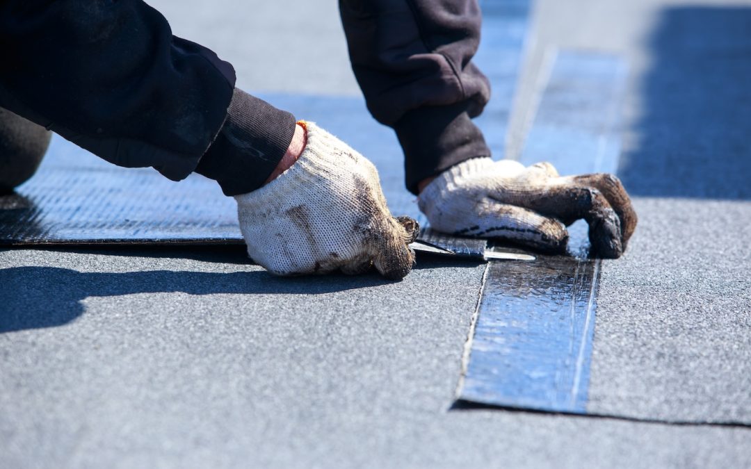 Flat Roof Repair 101: Signs, Solutions & Expert Tips