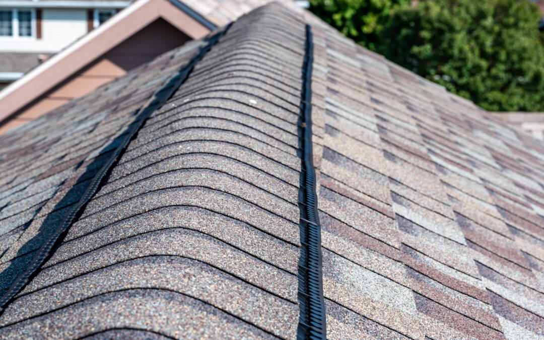 Roof Inspection Services: What To Expect (Full Guide)