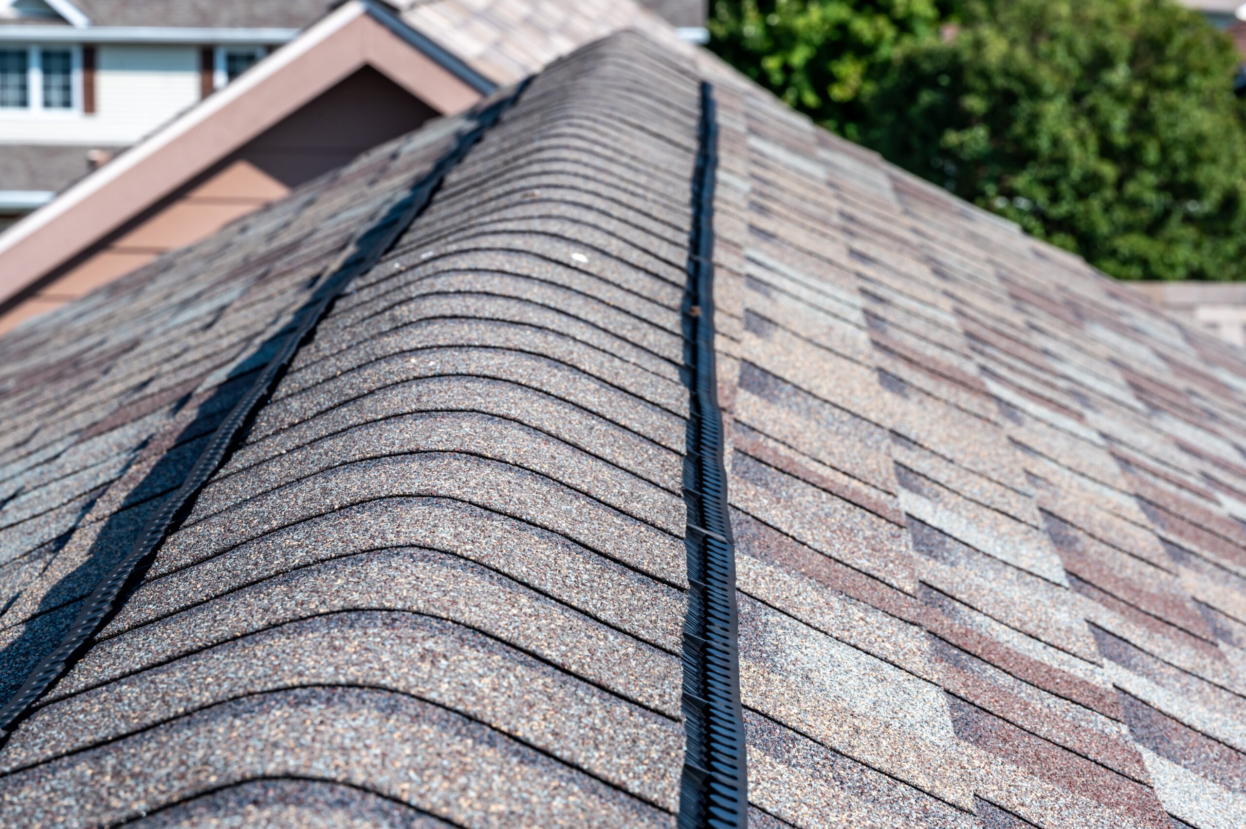 Shingle roof
