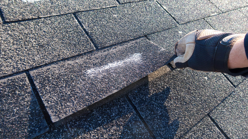 Shingles inspection