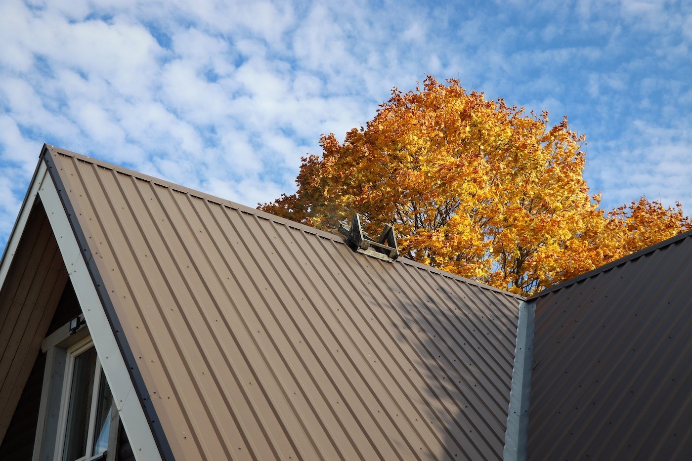 Brown standing seam metal roof house under the autmn tree against blue sky .