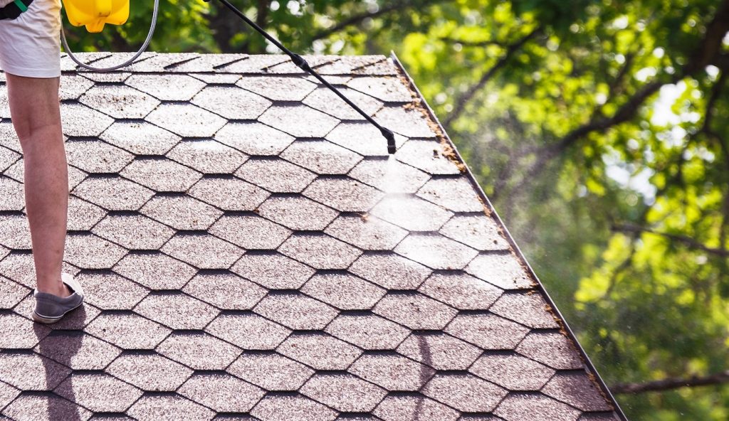 Roof treatment with anti-moss liquid by spraying it on the roofing material in the summer; part of the human body is visible.