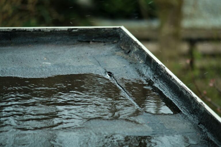roof leak detection small hole flat black roof