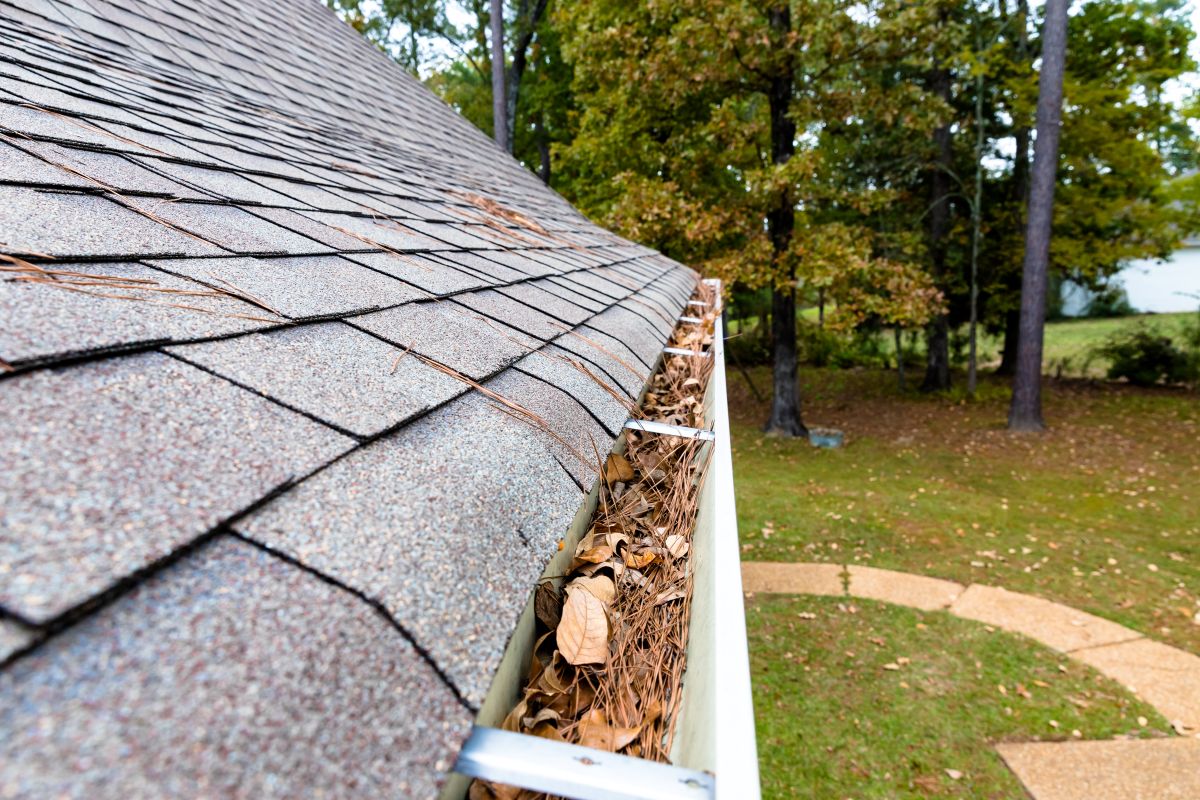 debris on top of roof and gutters